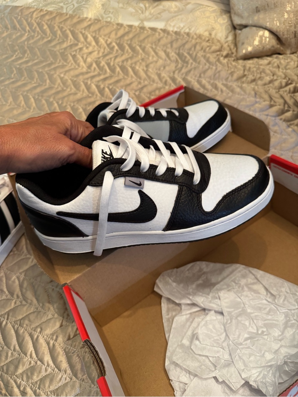 Nike Black and White Low-Top Skate Sneakers